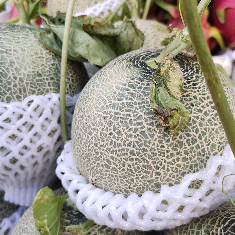 Dưa lưới (1 trái)